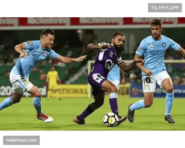 昂热主场雷诺科帕不败率超七成 中游定位下抢分策略明确